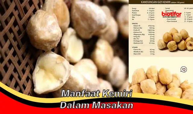 Temukan Manfaat Kemiri dalam Masakan yang Jarang Diketahui