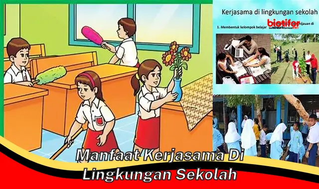 manfaat kerjasama di lingkungan sekolah manfaat kerjasama di lingkungan sekolah