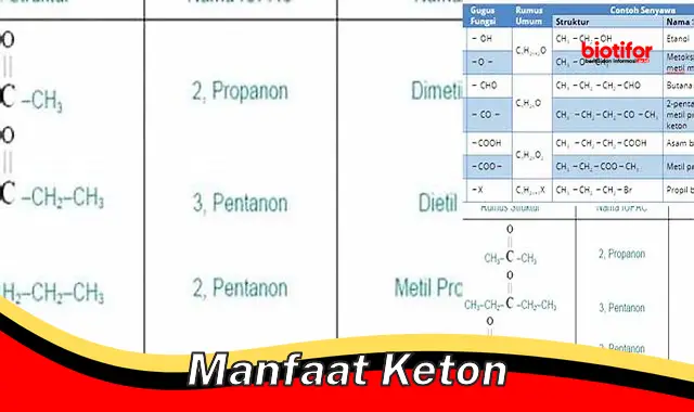 Temukan 5 Manfaat Keton yang Jarang Diketahui