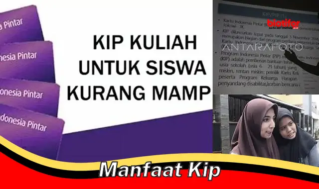 Gali Rahasia Manfaat Kip yang Jarang Diketahui