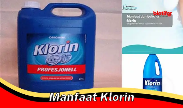 manfaat klorin manfaat klorin
