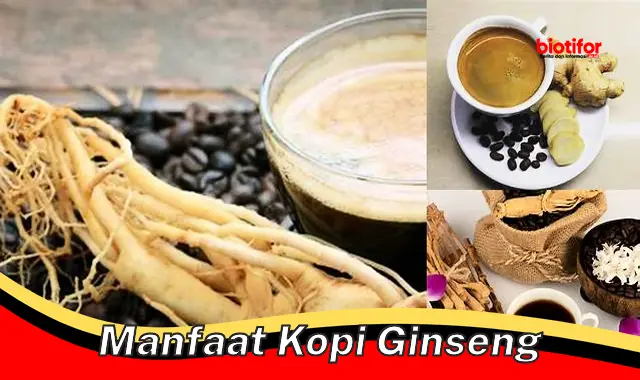 Temukan 5 Manfaat Kopi Ginseng yang Jarang Diketahui