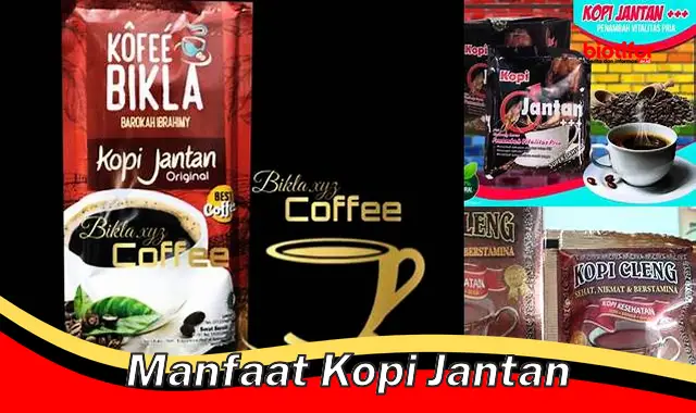 Temukan Manfaat Kopi Jantan yang Jarang Diketahui