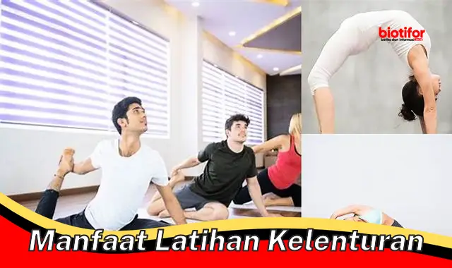 manfaat latihan kelenturan manfaat latihan kelenturan