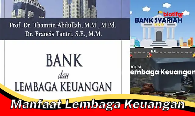 Temukan Manfaat Lembaga Keuangan Yang Belum Banyak Diketahui Orang