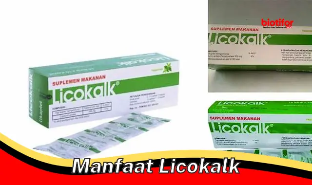 manfaat licokalk manfaat licokalk