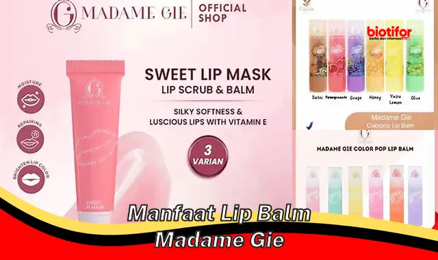 manfaat lip balm madame gie manfaat lip balm madame gie