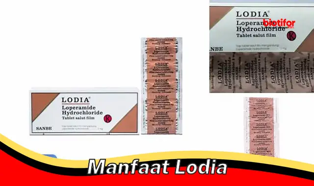 manfaat lodia manfaat lodia