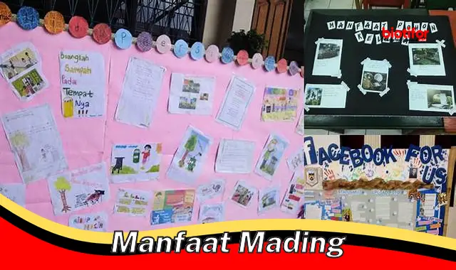 Temukan Manfaat Mading yang Jarang Diketahui, Penting Banget!