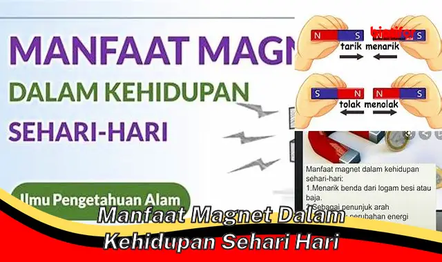 Manfaat Magnet dalam Kehidupan Sehari-hari yang Jarang Diketahui