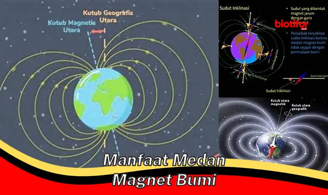 Temukan Manfaat Medan Magnet Bumi yang Jarang Diketahui