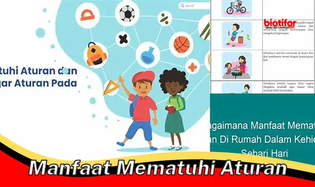 manfaat mematuhi aturan manfaat mematuhi aturan