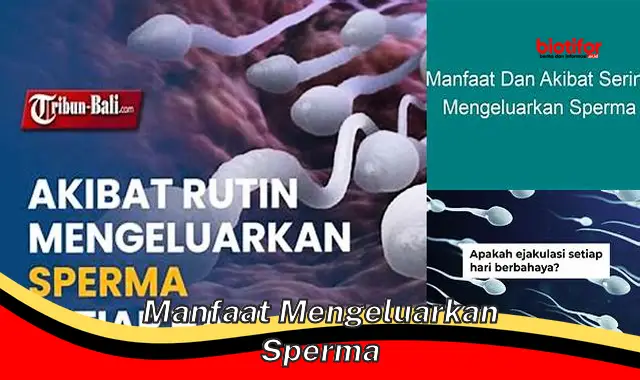 manfaat mengeluarkan sperma manfaat mengeluarkan sperma