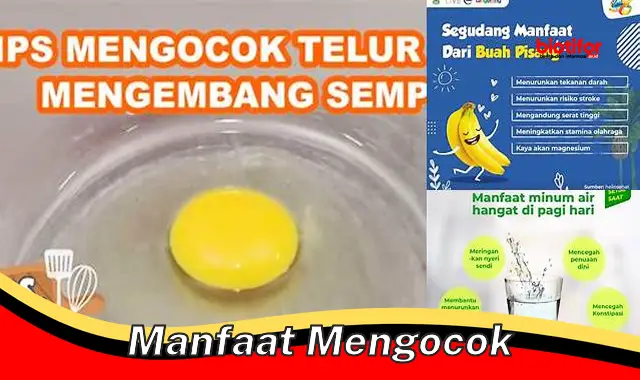 Temukan Manfaat Mengocok yang Belum Diketahui