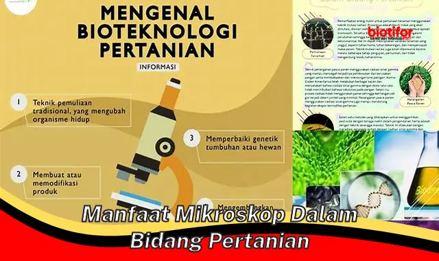 Temukan Manfaat Mikroskop dalam Pertanian yang Jarang Diketahui