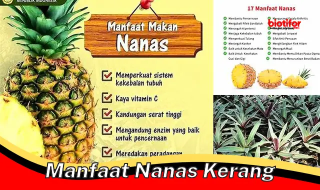 Temukan Manfaat Nanas Kerang yang Menakjubkan, Wajib Diketahui!