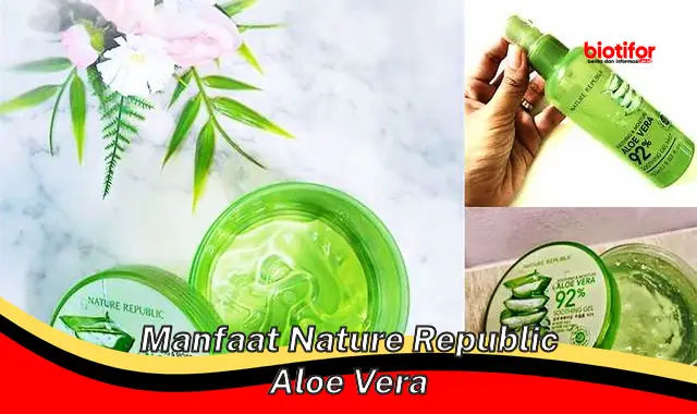 Temukan 5 Manfaat Lidah Buaya Nature Republic yang Jarang Diketahui