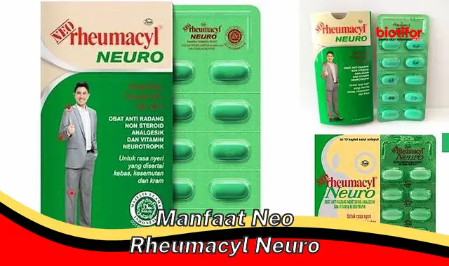 manfaat neo rheumacyl neuro manfaat neo rheumacyl neuro