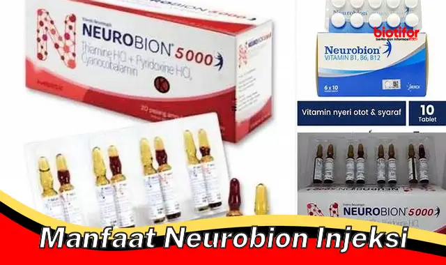 manfaat neurobion injeksi manfaat neurobion injeksi
