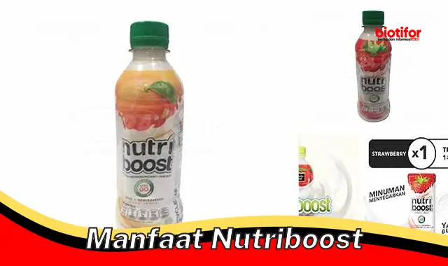 manfaat nutriboost manfaat nutriboost