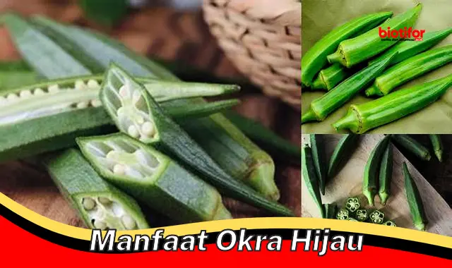 Temukan Manfaat Okra Hijau yang Jarang Diketahui