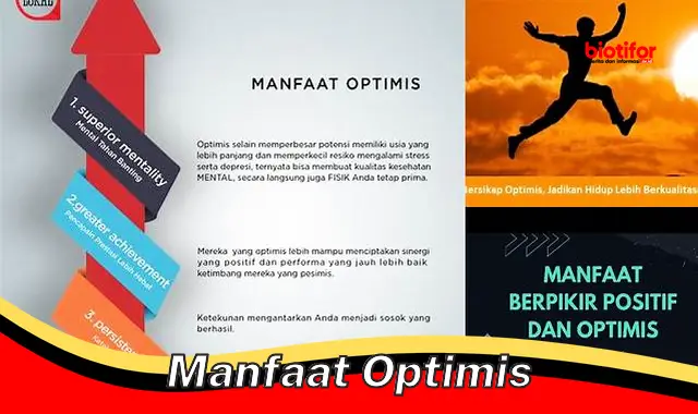 Temukan 5 Manfaat Optimis yang Jarang Diketahui