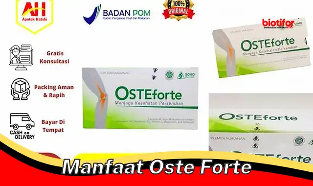 manfaat oste forte manfaat oste forte