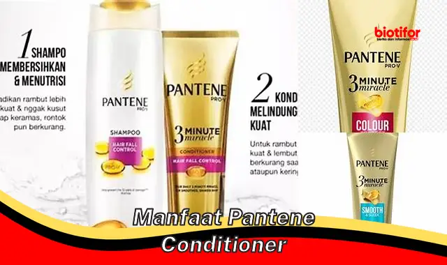 manfaat pantene conditioner manfaat pantene conditioner