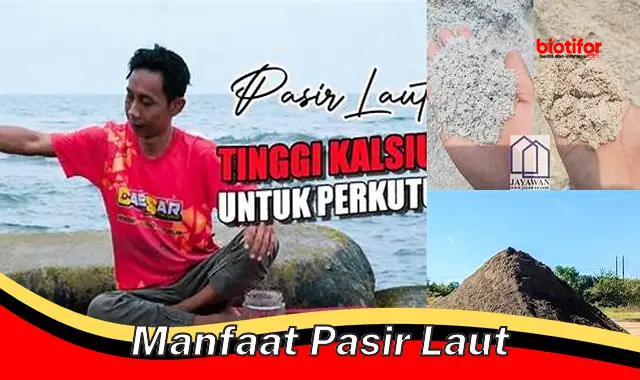 Temukan Khasiat Pasir Laut yang Jarang Diketahui