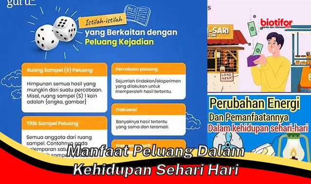 Temukan Manfaat Peluang Langka dalam Hidup Sehari-hari