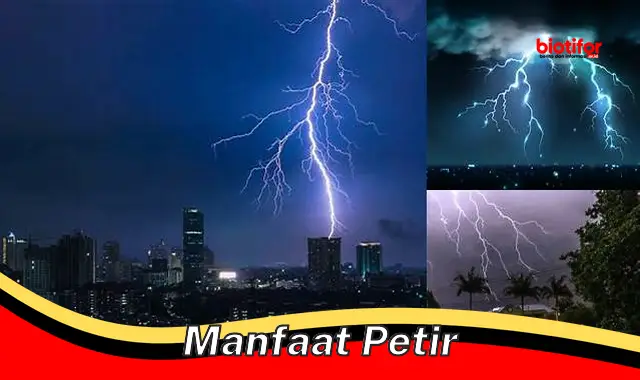 Temukan Manfaat Petir yang Jarang Diketahui