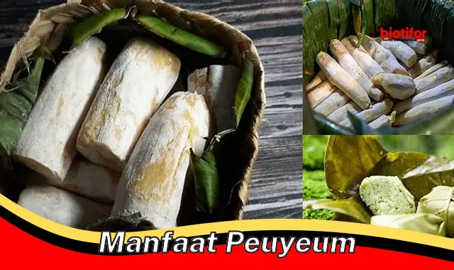 Temukan Manfaat Peuyeum Luar Biasa yang Jarang Diketahui