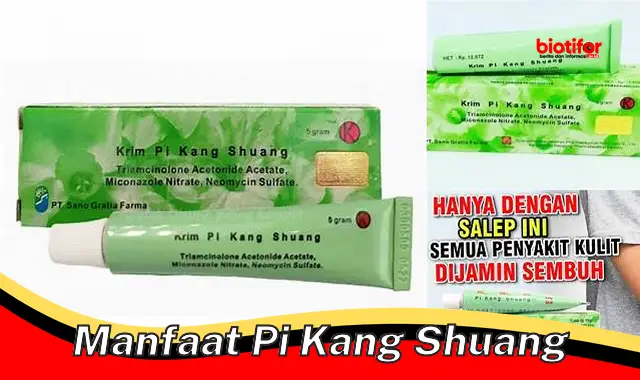 Temukan Manfaat Pi Kang Shuang yang Jarang Diketahui