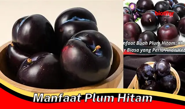 Terungkap Manfaat Plum Hitam yang Jarang Diketahui