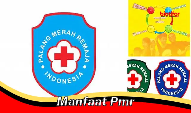 Temukan 5 Manfaat Penting PMR yang Perlu Diketahui