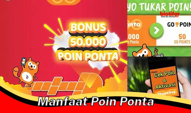 Temukan Manfaat Poin Ponta yang Jarang Diketahui!