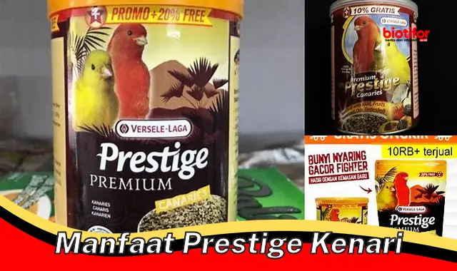 5 Manfaat Prestige Kenari yang Jarang Diketahui