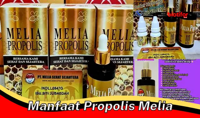 manfaat propolis melia manfaat propolis melia