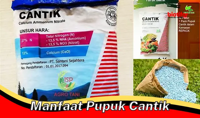 Temukan Manfaat Pupuk Cantik yang Jarang Diketahui