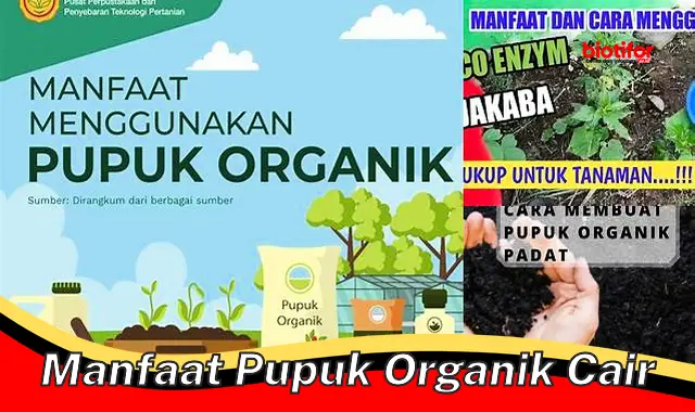manfaat pupuk organik cair manfaat pupuk organik cair