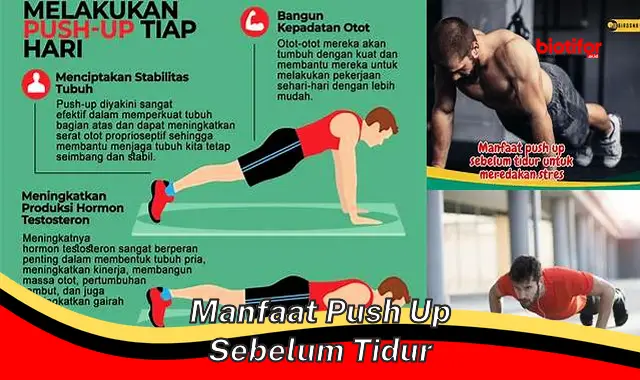 manfaat push up sebelum tidur manfaat push up sebelum tidur