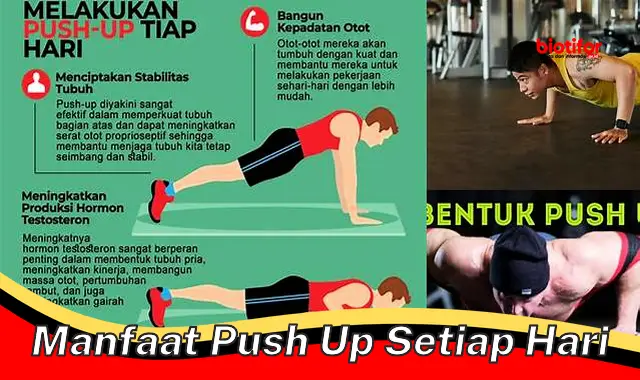 Temukan 5 Manfaat Push Up Harian yang Jarang Diketahui