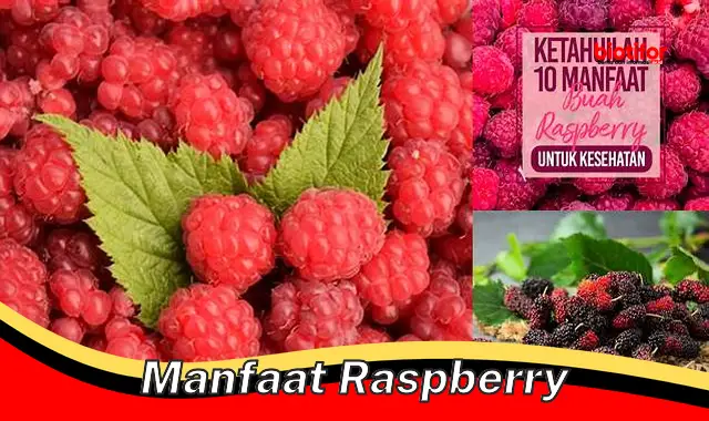 Temukan Manfaat Raspberry Jarang Diketahui yang Wajib Anda Ketahui