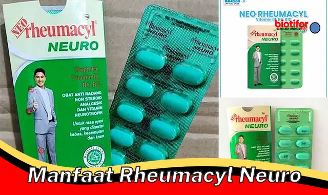 Temukan Manfaat Rheumacyl Neuro: Penemuan & Wawasan yang Jarang Diketahui