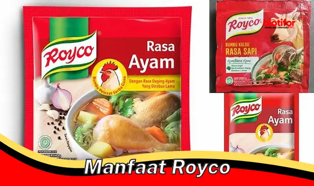 Temukan Rahasia Manfaat Royco yang Jarang Diketahui