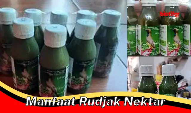 Temukan Rahasia Manfaat Rudjak Nektar yang Jarang Diketahui