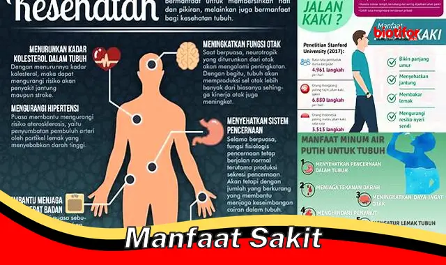 Temukan Manfaat Sakit yang Jarang Diketahui, Wajib Anda Tau!