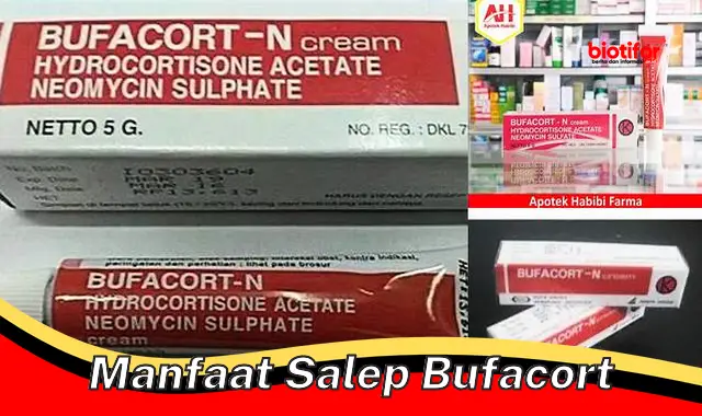 manfaat salep bufacort manfaat salep bufacort