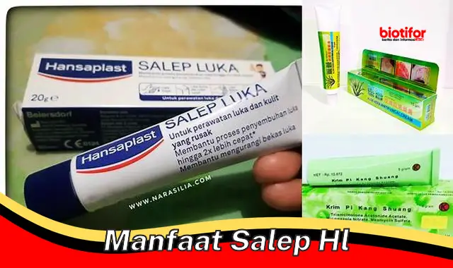 Temukan 5 Manfaat Salep HL yang Jarang Diketahui