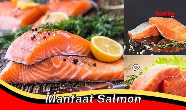 manfaat salmon manfaat salmon